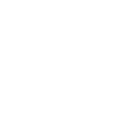 austin