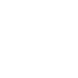 digital-camp