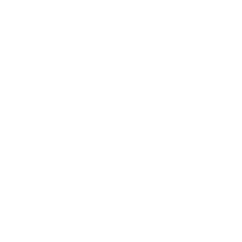 digital-journal